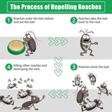 🛡️ RoachShield Herbal Cockroach Gel – Safe & Powerful Cockroach Killer for Kitchens, Bathrooms & Cabinets